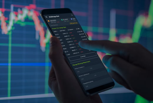 A person examining crypto exchange rates on a phone screen