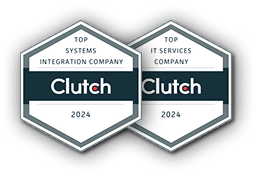 Top it company 2024