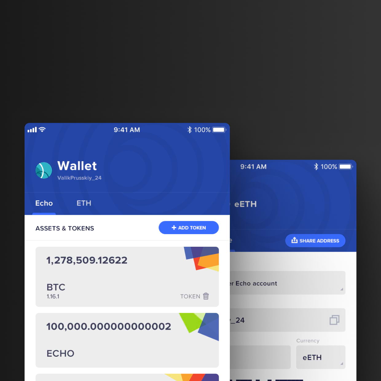 echo wallet case preview