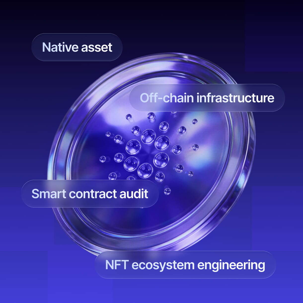 Cardano dApp development services