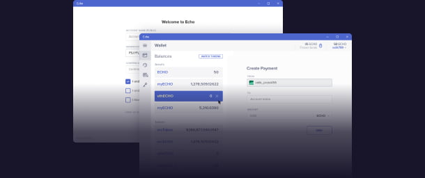 The screenshots of UI of Echo desktop wallet