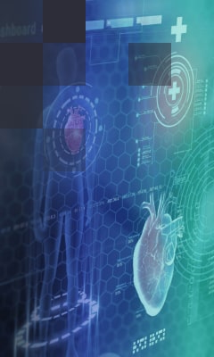 Healthcare Software Development Services