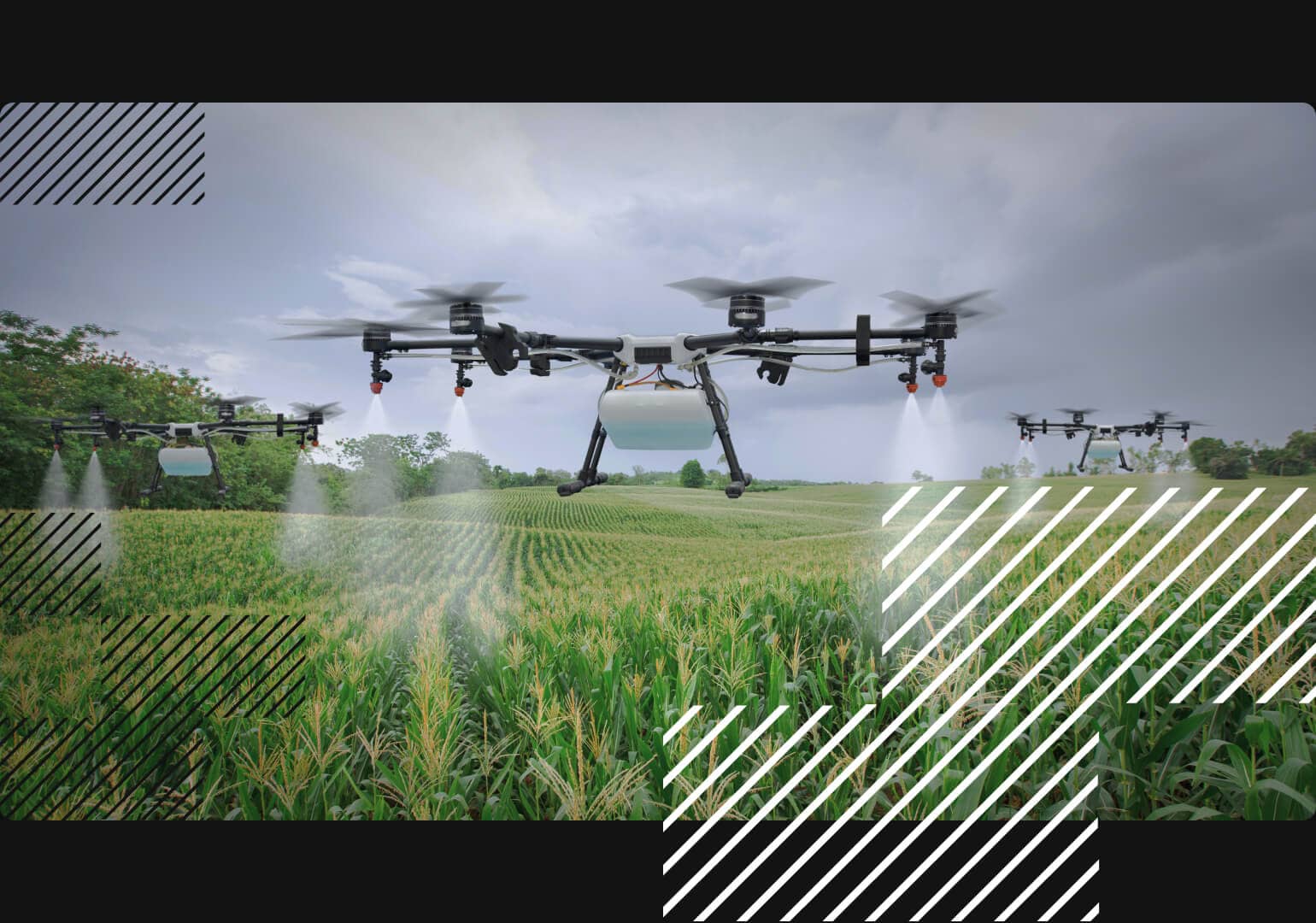 Agriculture drones work in a green field