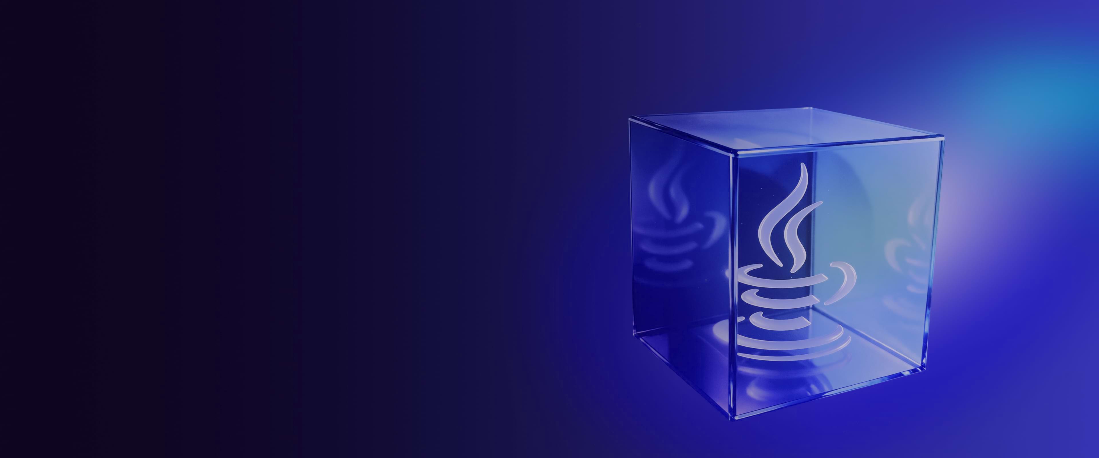 Java Development Services preview