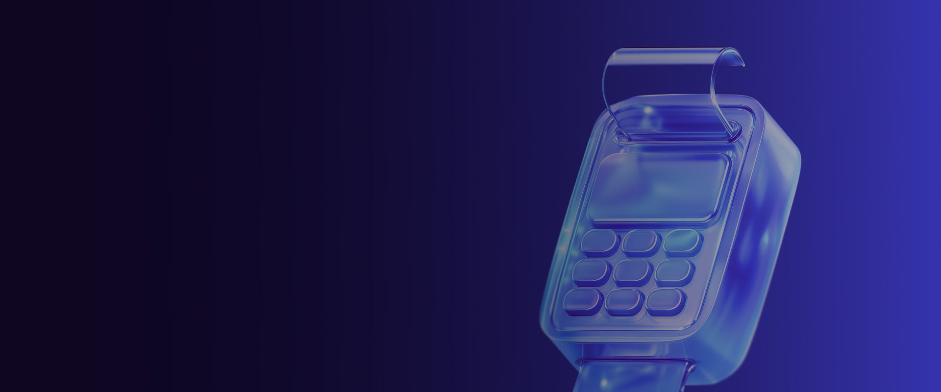 POS Development Services preview