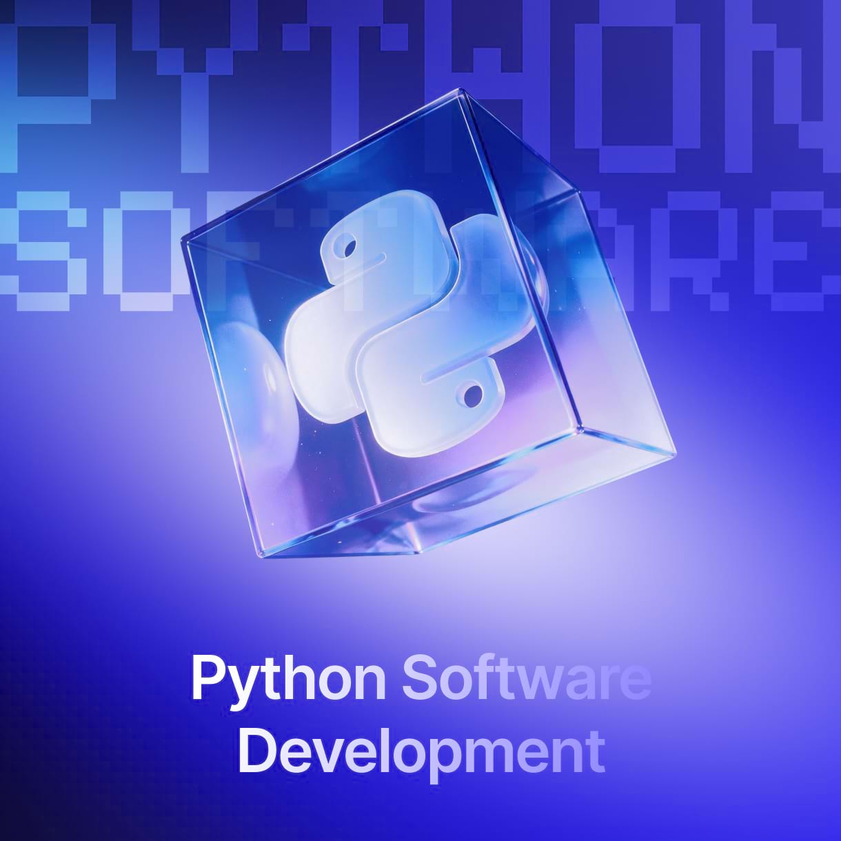 Custom Python development services preview