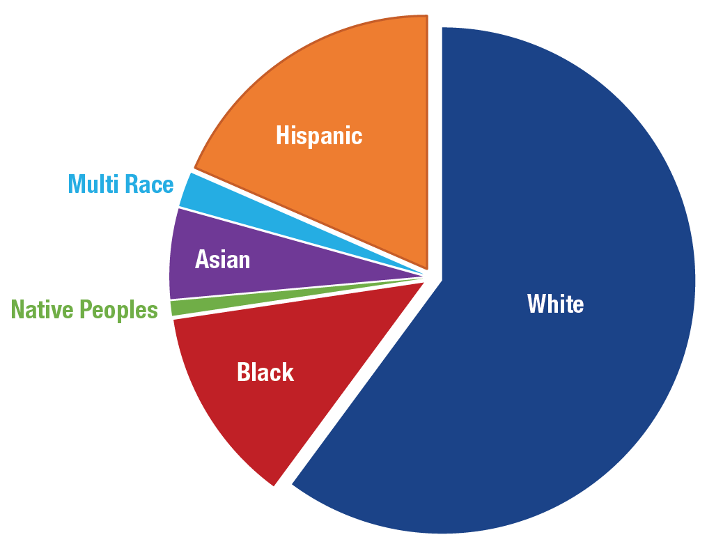 A pie chart demonstrating the US demographics