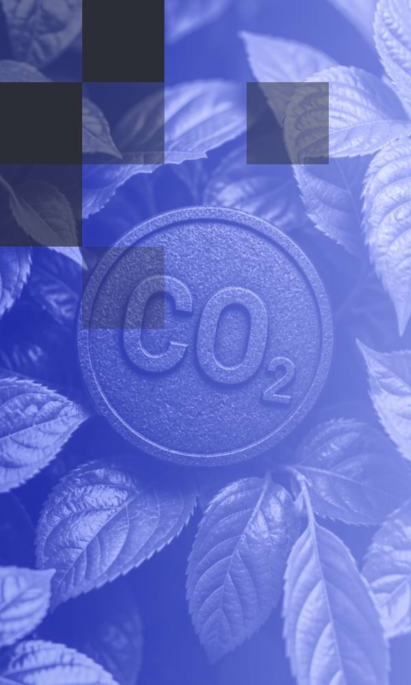 Carbon credits & ESG assets background
