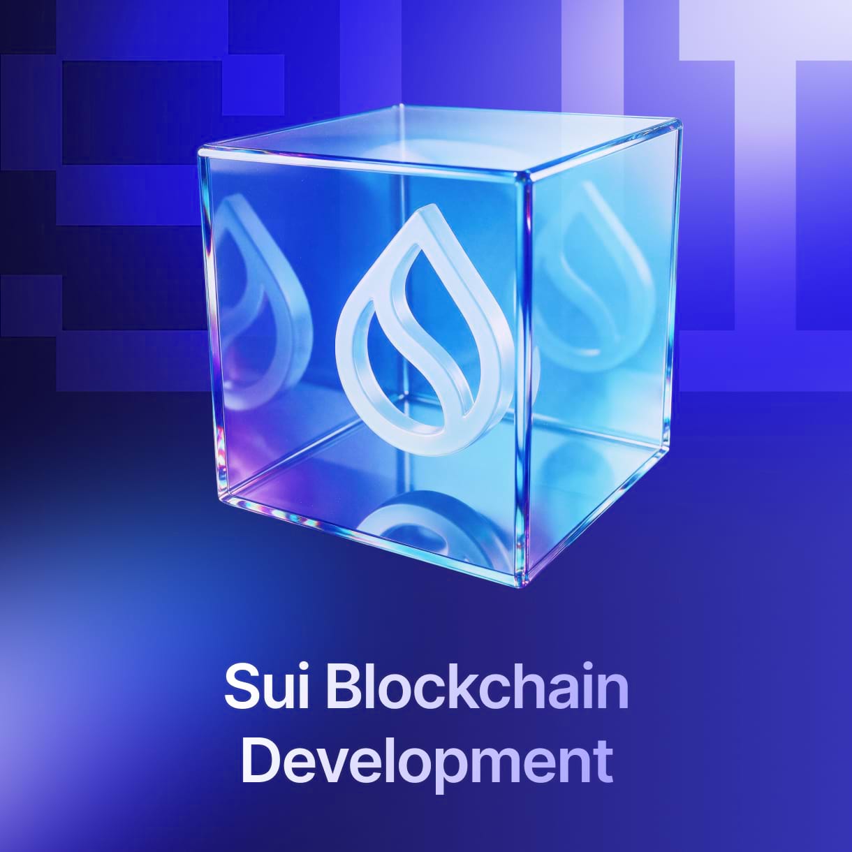 Sui blockchain development services