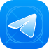 Telegram Logo