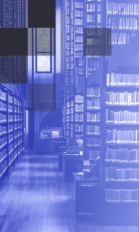 Education background