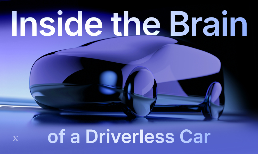 inside the brane