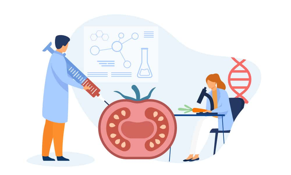 Scientists examining a tomato and carrot in the lab