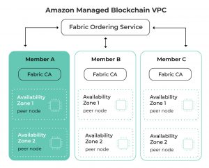 what blockchain company does amazon use