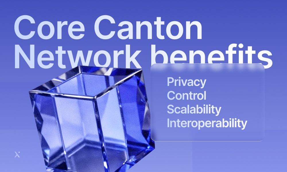 Visual representation of network advantages: privacy, control, scalability, and interoperability features highlighted.