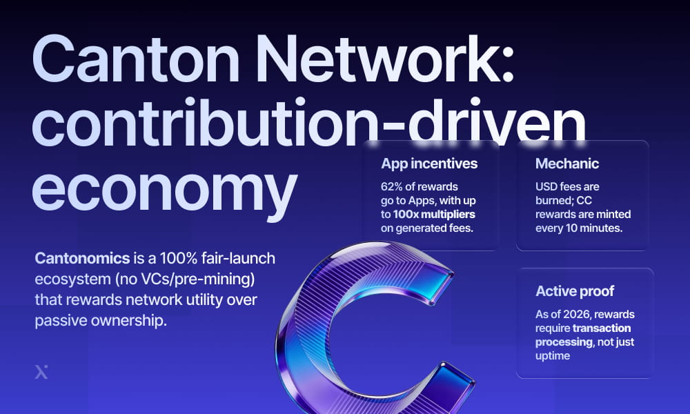 Infographic showing how a cannon network enhances economic contributions through collaboration and shared resources.