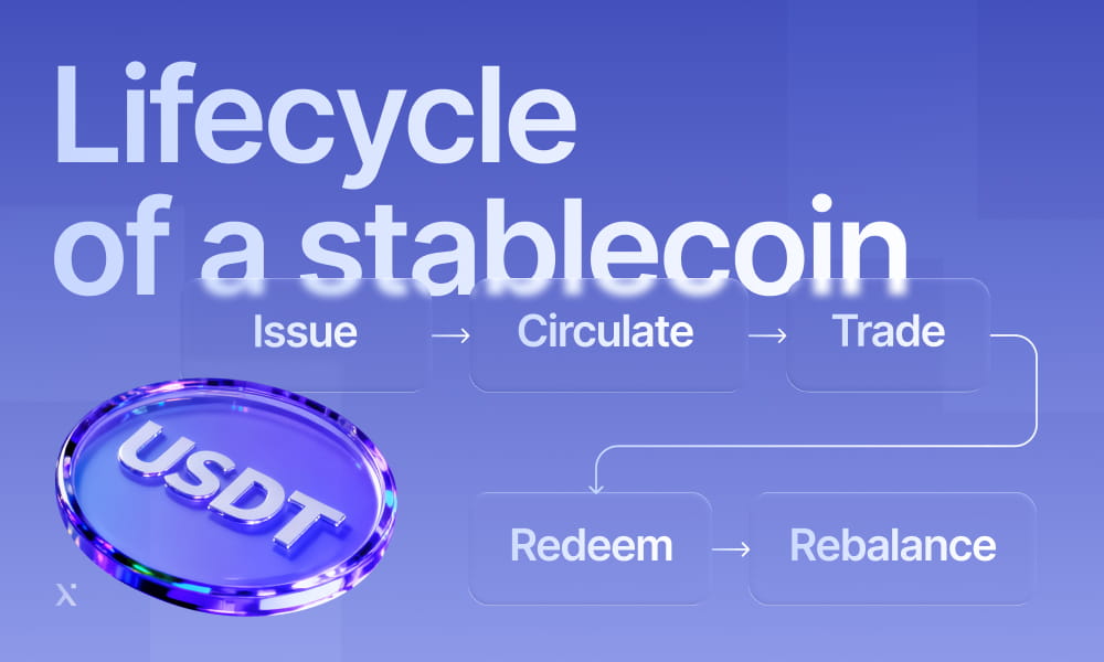 Infographic depicting the stablecoin life cycle, highlighting key phases such as creation, circulation, and redemption.
