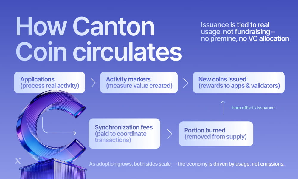 nfographic depicting the circulation of Canton coins, highlighting transactions between consumers, businesses, and banks.
