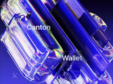 A blue and purple wallet featuring the text "centon wallet" prominently displayed on its surface.