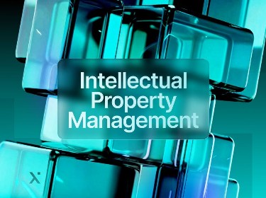 A team meeting focused on developing effective intellectual property management practices and policies.