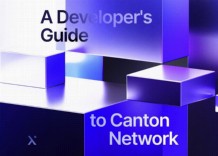 Visual overview of a developers guide to the Canton Network, highlighting important features and development strategies.