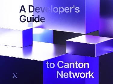 Visual overview of a developers guide to the Canton Network, highlighting important features and development strategies.