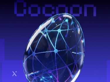 Cocoon logo displayed on a blue background, featuring a modern design and vibrant colors.