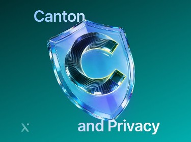 Canton and privacy logo displayed prominently on a blue background, symbolizing data protection and security.